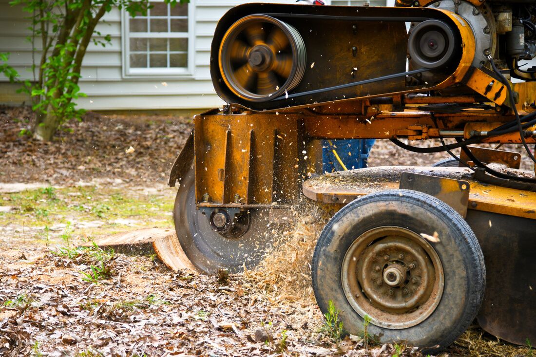 Yellow stump grinder close-up during stump grinding service
